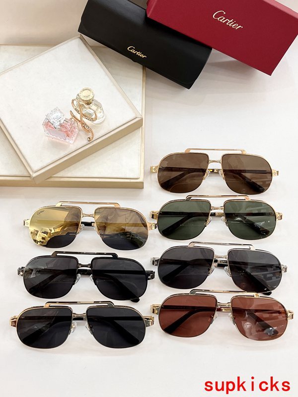 Cartier Luxury Sunglasses