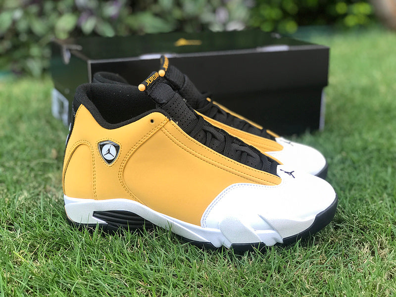 Nike Luxury Shoes