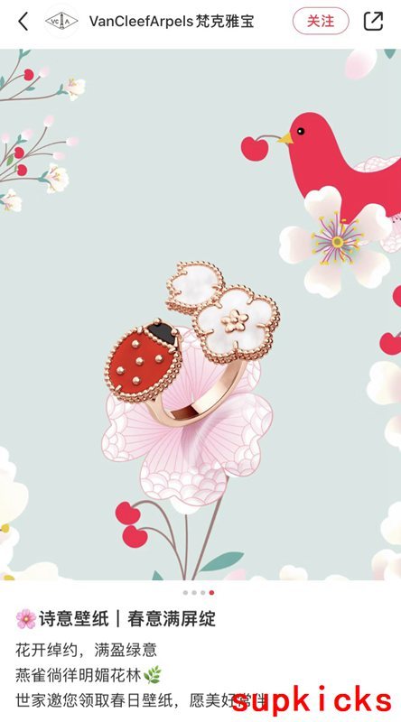 Van Cleef & Arples Jewelry