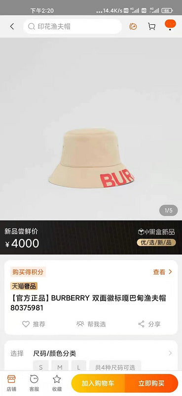 Burberry Luxury Cap