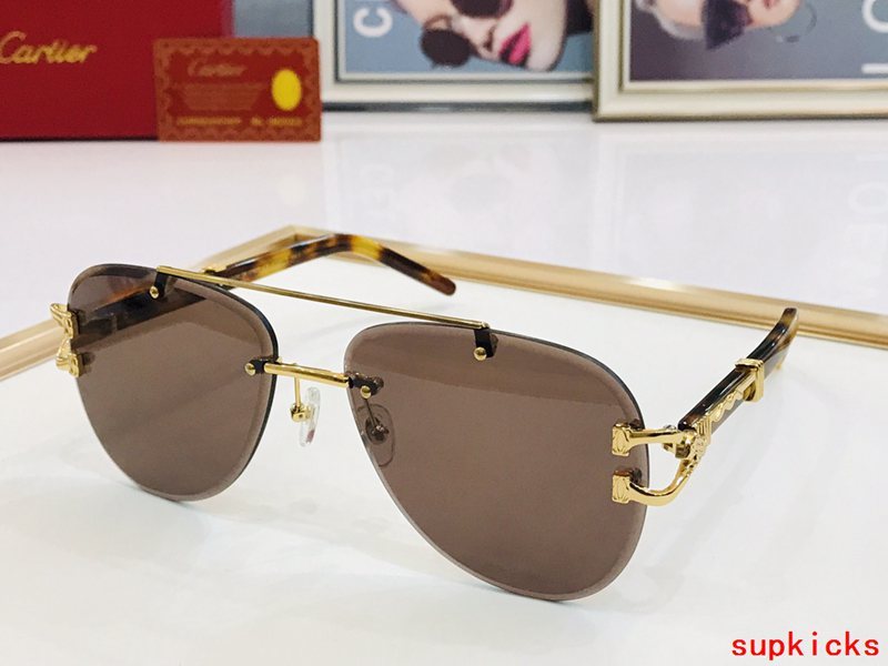 Cartier Luxury Sunglasses