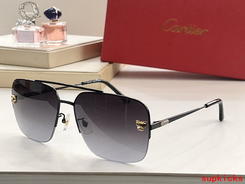 Cartier Luxury Sunglasses
