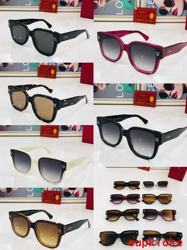 Cartier Luxury Sunglasses