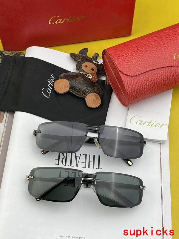 Cartier Luxury Sunglasses