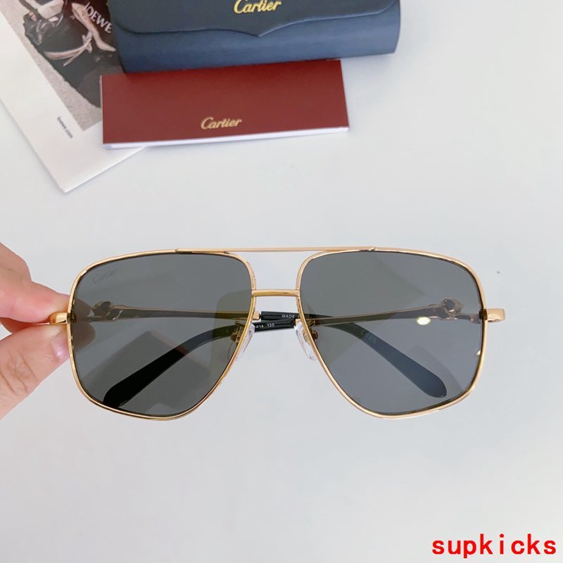 Cartier Luxury Sunglasses