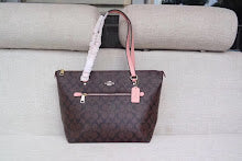 new-luxury-designer-bags-nm6359