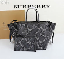 new-luxury-designer-bags-nm5539
