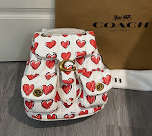 new-designer-premium-bags-nm6636