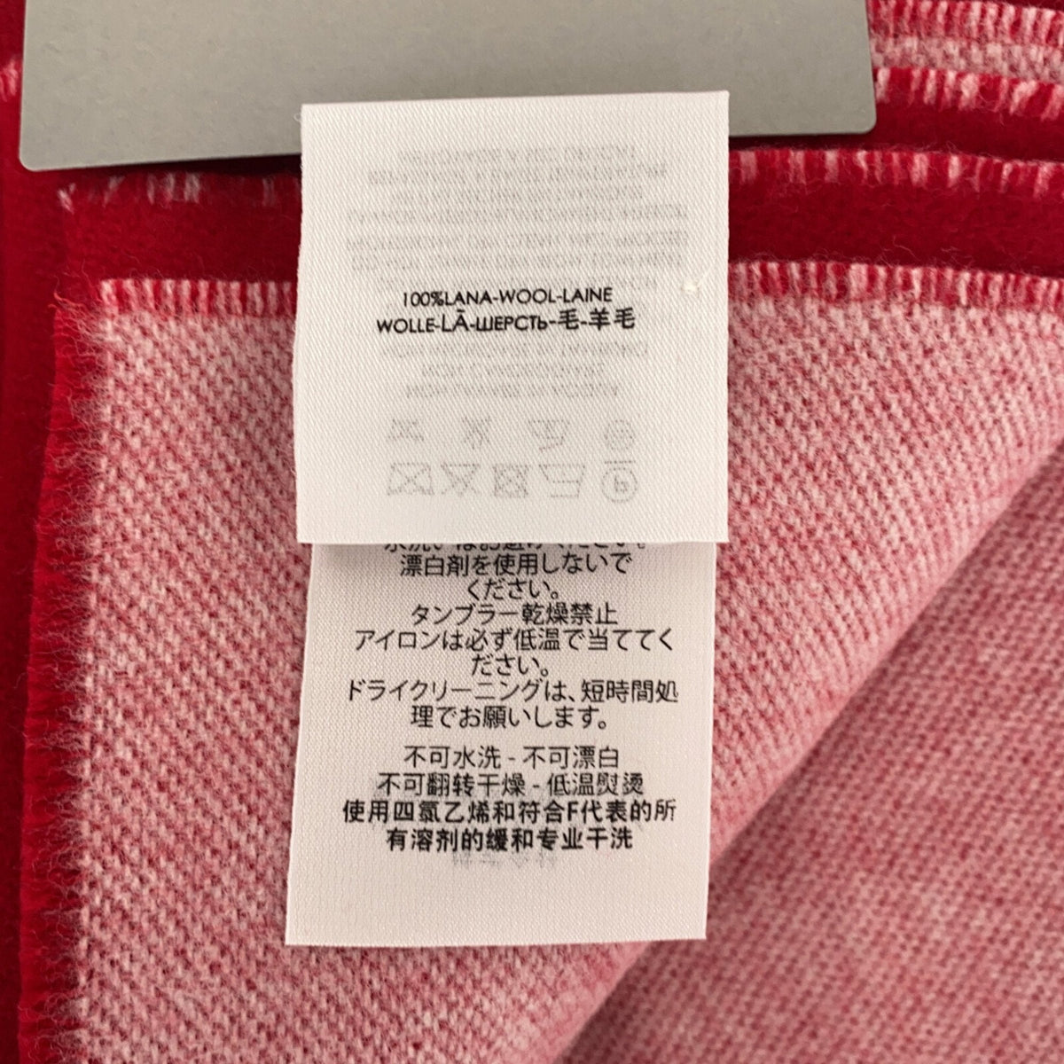 balenciaga Scarves