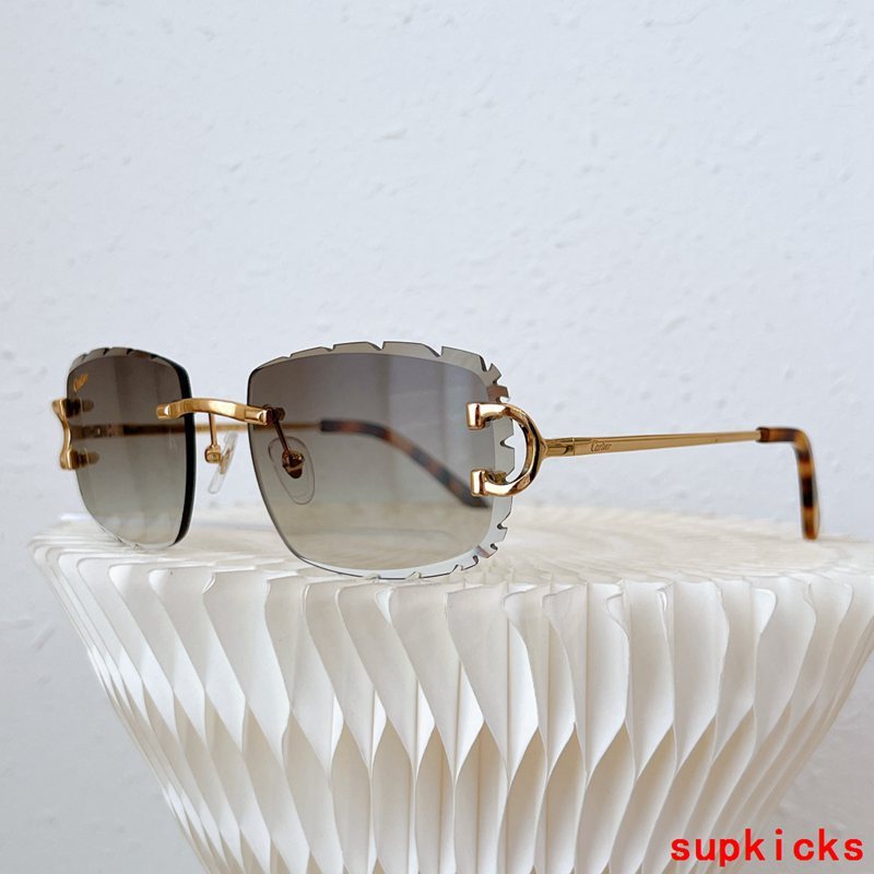 Cartier Luxury Sunglasses