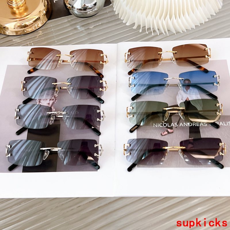 Cartier Luxury Sunglasses