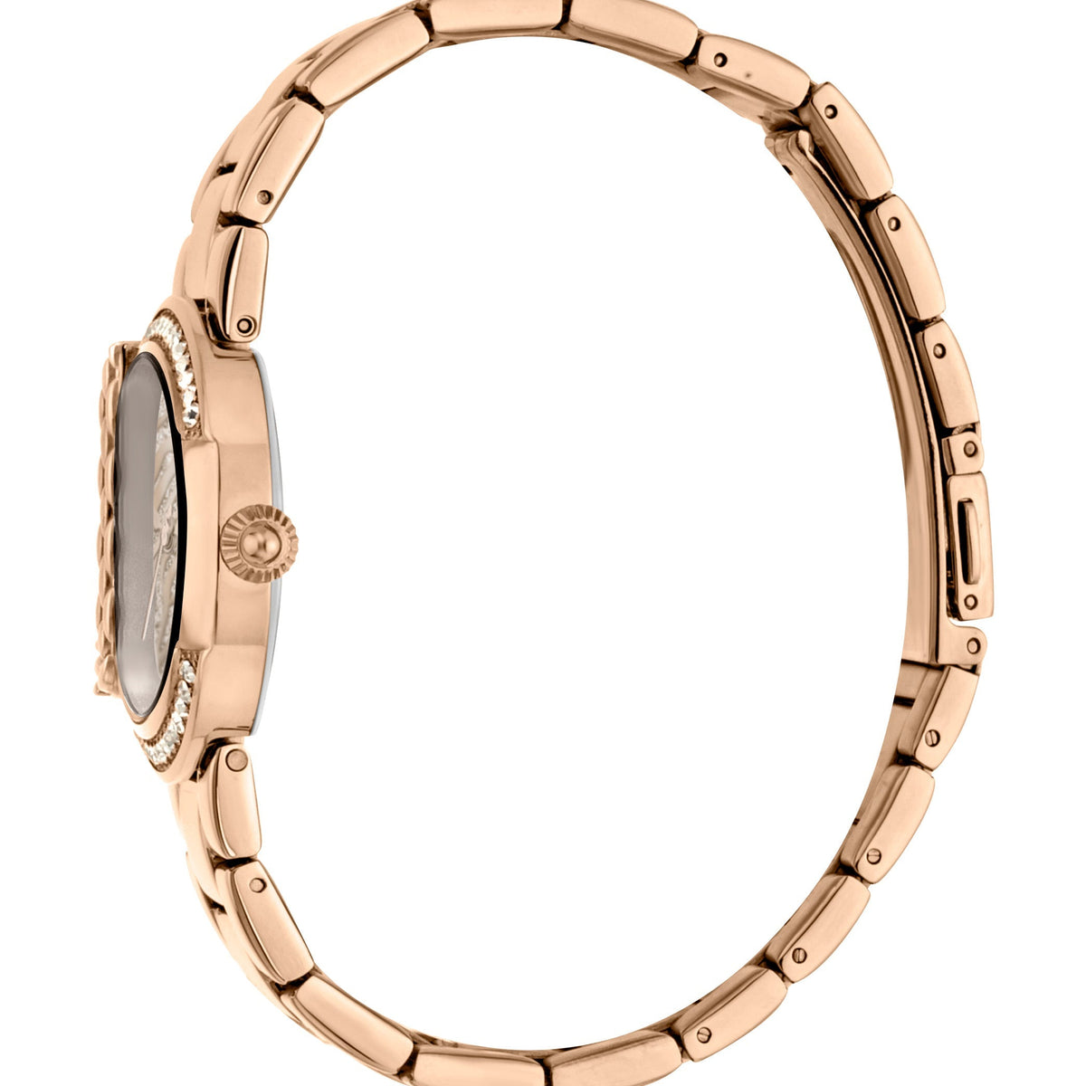Just Cavalli Women's C by JC 40mm Quartz Watch