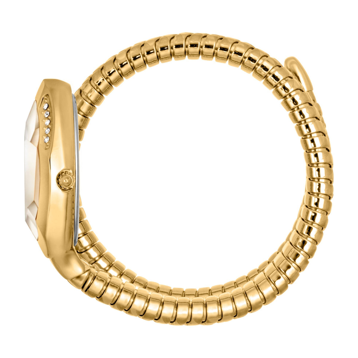 Just Cavalli Signature Snake JC1L225 Glam Evo 8 Solo 22mm Quartz Women's Watch