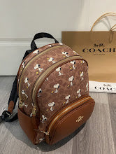 new-designer-premium-bags-nm6278