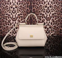 new-luxury-designer-bags-nm7001