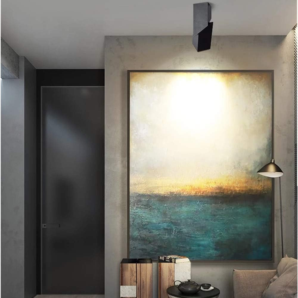LED Indoor Ceiling Spotlight 360°Adjustable Wall Light - Art DIY Spotlights -12W Warm White Light 3000K Ceiling Downlight -Surface Mounted COB Lighting Swivel Lamp (Black-3000K)