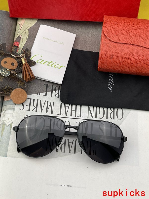 Cartier Luxury Sunglasses