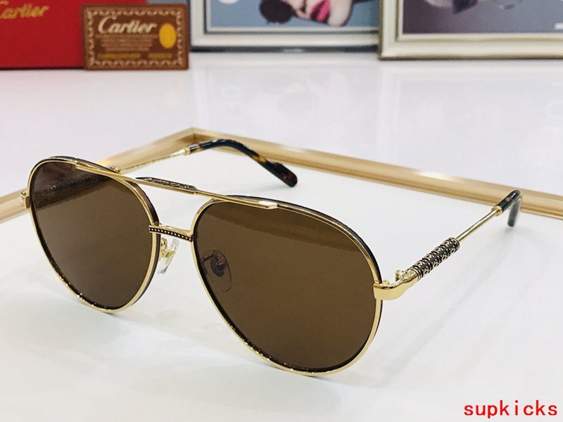 Cartier Luxury Sunglasses