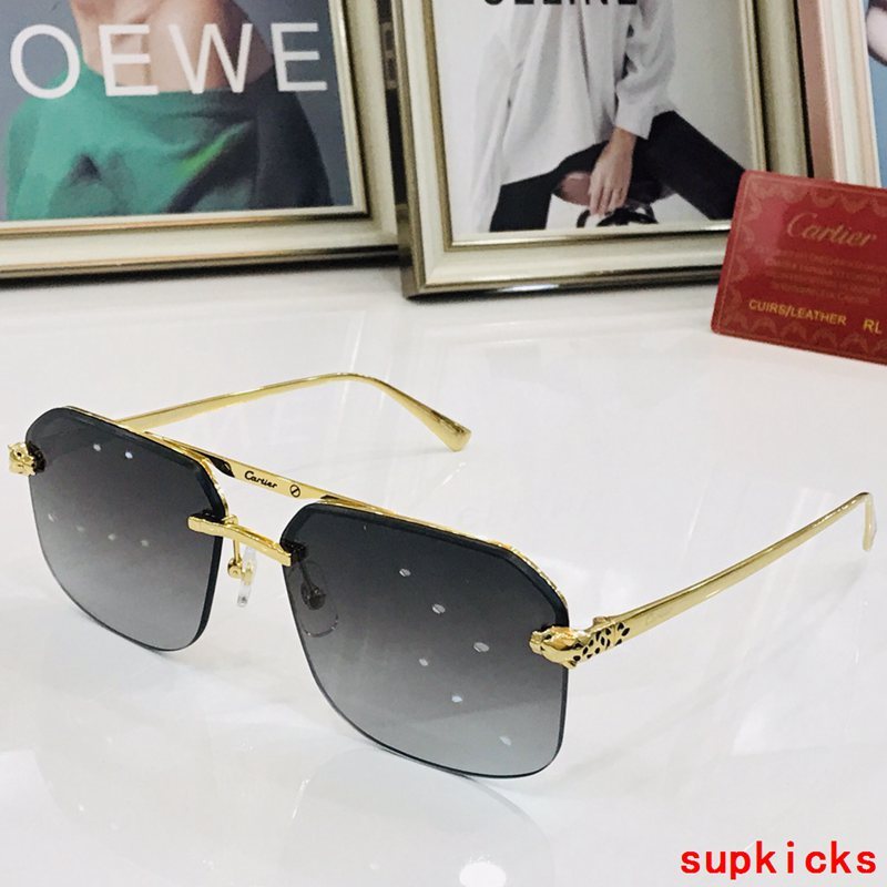Cartier Luxury Sunglasses