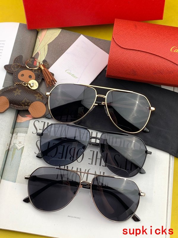Cartier Luxury Sunglasses