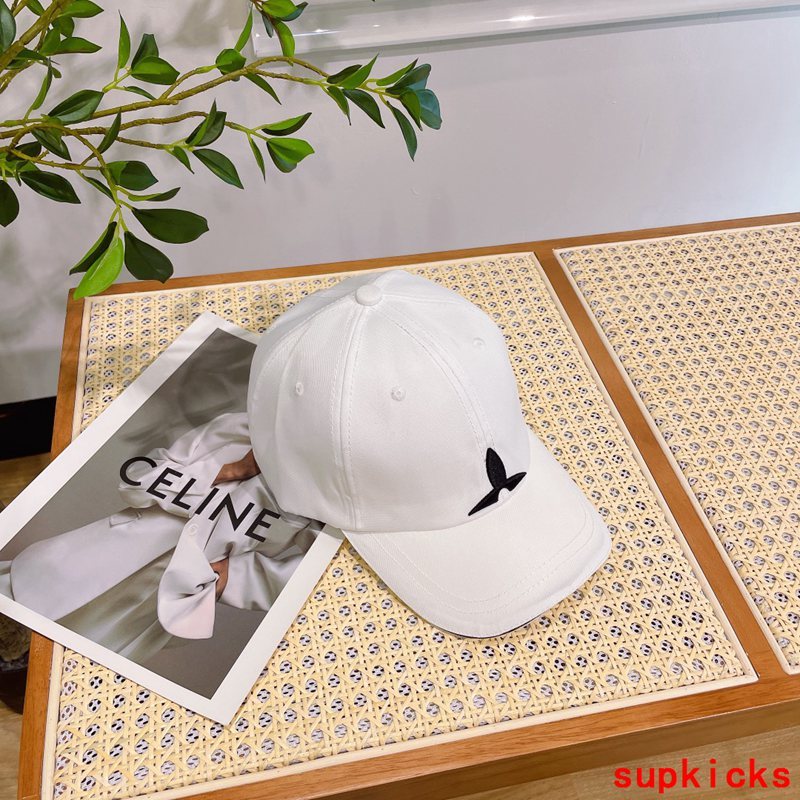 Louis Vuitton Luxury Cap