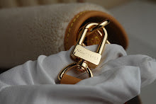 new-luxury-designer-bags-nm4672