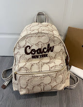 new-luxury-designer-bags-nm6300