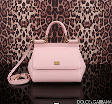 new-designer-premium-bags-nm7004