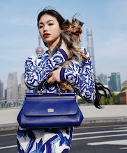 new-luxury-designer-bags-nm7024