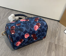 new-designer-premium-bags-nm6502