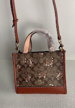 new-luxury-designer-bags-nm6626