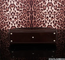 new-luxury-designer-bags-nm6960