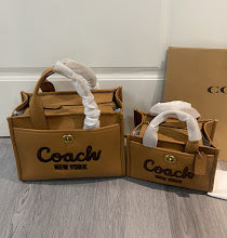 new-designer-premium-bags-nm6310