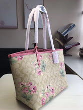 new-designer-premium-bags-nm6445