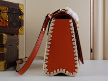 new-designer-premium-bags-nm5407