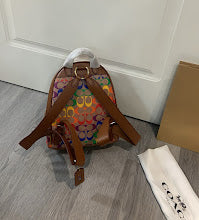 new-luxury-designer-bags-nm6518