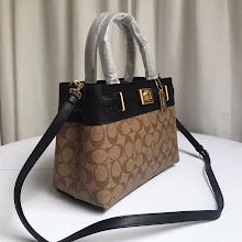 new-luxury-designer-bags-nm6466