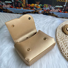 new-designer-premium-bags-nm6797