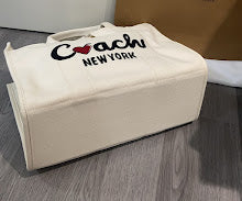 new-luxury-designer-bags-nm6529