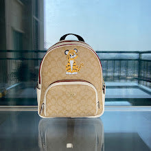 new-designer-premium-bags-nm6387