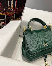 new-designer-premium-bags-nm7038