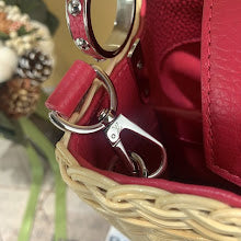 new-designer-premium-bags-nm4235