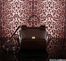 new-designer-premium-bags-nm6959