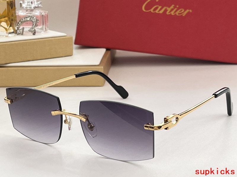 Cartier Luxury Sunglasses
