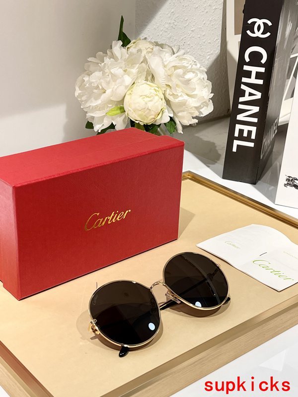 Cartier Luxury Sunglasses