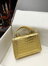new-luxury-designer-bags-nm6688