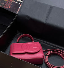 new-luxury-designer-bags-nm7099