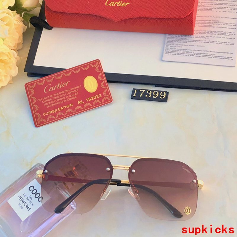 Cartier Luxury Sunglasses