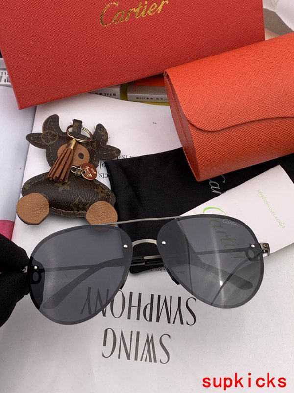 Cartier Luxury Sunglasses