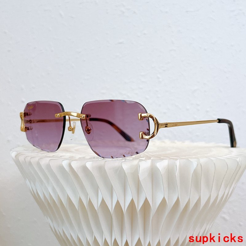 Cartier Luxury Sunglasses